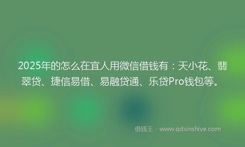 2025年的怎么在宜人用微信借钱有：天小花、翡翠贷、捷信易借、易融贷通、乐贷Pro钱包等。