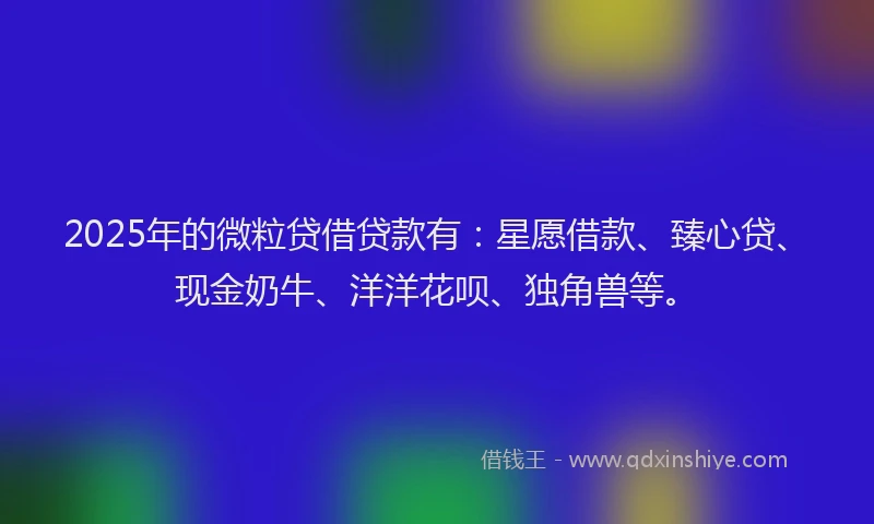2025年的微粒贷借贷款有：星愿借款、臻心贷、现金奶牛、洋洋花呗、独角兽等。