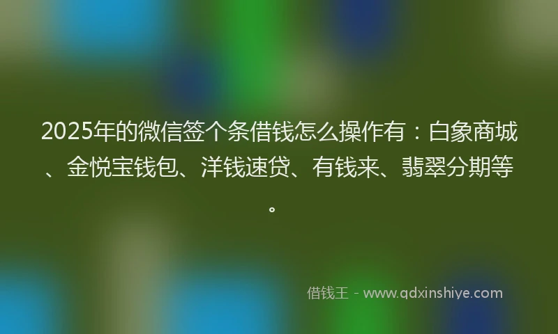 2025年的微信签个条借钱怎么操作有：白象商城、金悦宝钱包、洋钱速贷、有钱来、翡翠分期等。