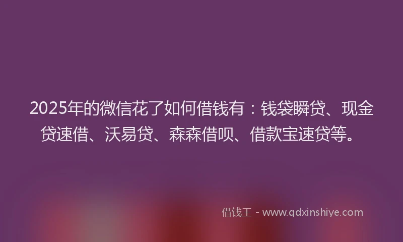 2025年的微信花了如何借钱有：钱袋瞬贷、现金贷速借、沃易贷、森森借呗、借款宝速贷等。
