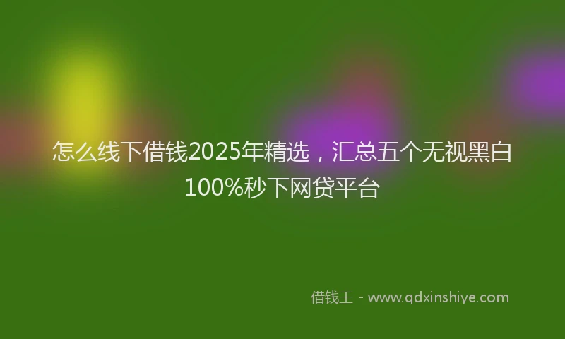 怎么线下借钱2025年精选，汇总五个无视黑白100%秒下网贷平台