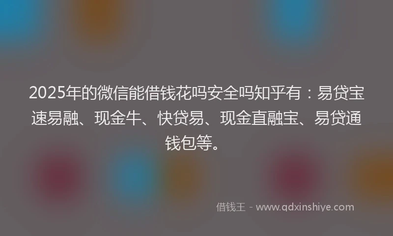 2025年的微信能借钱花吗安全吗知乎有：易贷宝速易融、现金牛、快贷易、现金直融宝、易贷通钱包等。