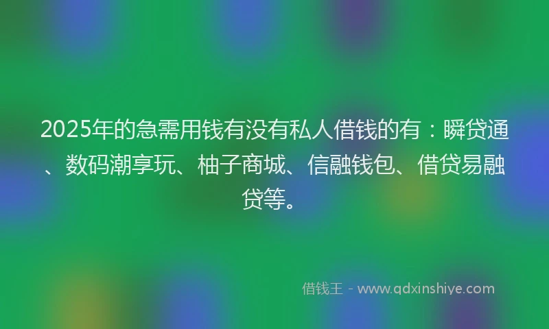 2025年的急需用钱有没有私人借钱的有：瞬贷通、数码潮享玩、柚子商城、信融钱包、借贷易融贷等。