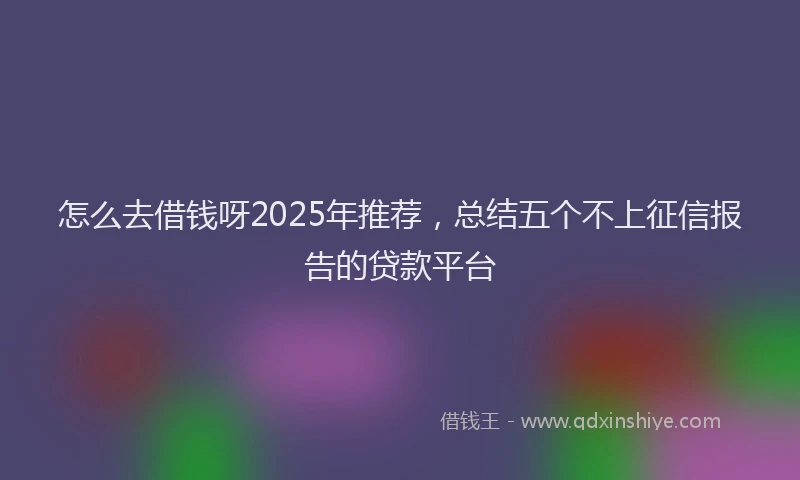怎么去借钱呀2025年推荐，总结五个不上征信报告的贷款平台