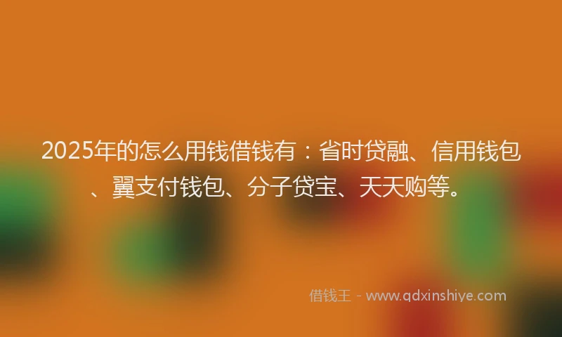 2025年的怎么用钱借钱有：省时贷融、信用钱包、翼支付钱包、分子贷宝、天天购等。