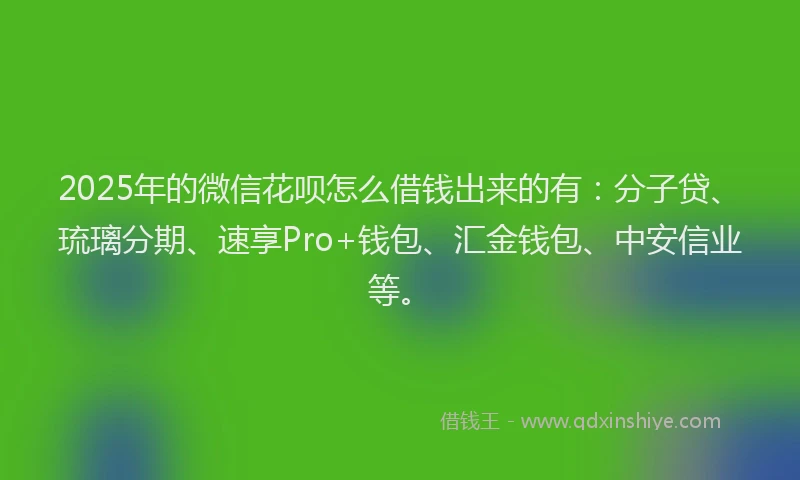 2025年的微信花呗怎么借钱出来的有：分子贷、琉璃分期、速享Pro+钱包、汇金钱包、中安信业等。