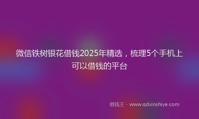 微信铁树银花借钱2025年精选，梳理5个手机上可以借钱的平台