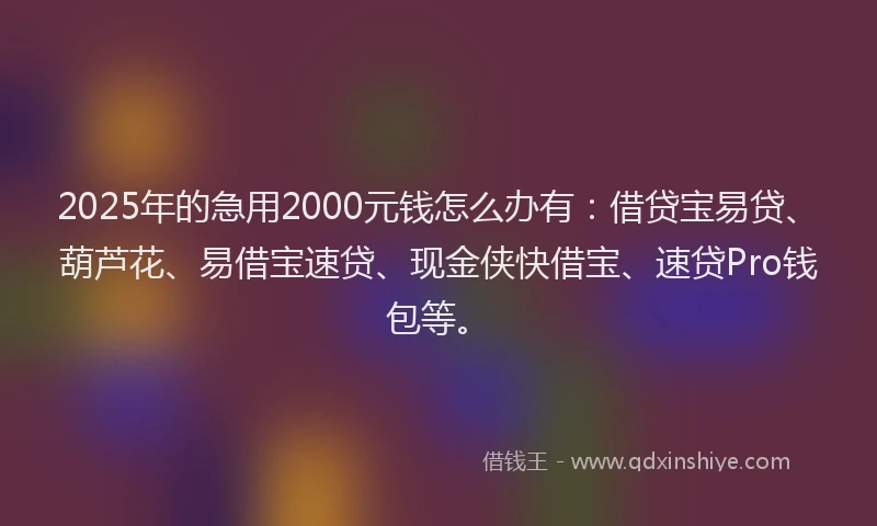 2025年的急用2000元钱怎么办有：借贷宝易贷、葫芦花、易借宝速贷、现金侠快借宝、速贷Pro钱包等。