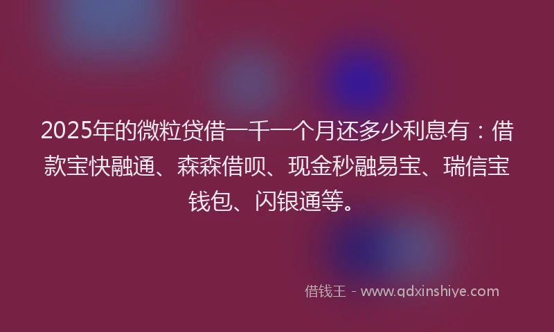 2025年的微粒贷借一千一个月还多少利息有：借款宝快融通、森森借呗、现金秒融易宝、瑞信宝钱包、闪银通等。