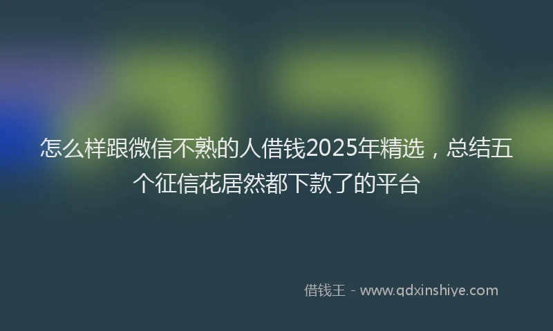 怎么样跟微信不熟的人借钱2025年精选，总结五个征信花居然都下款了的平台