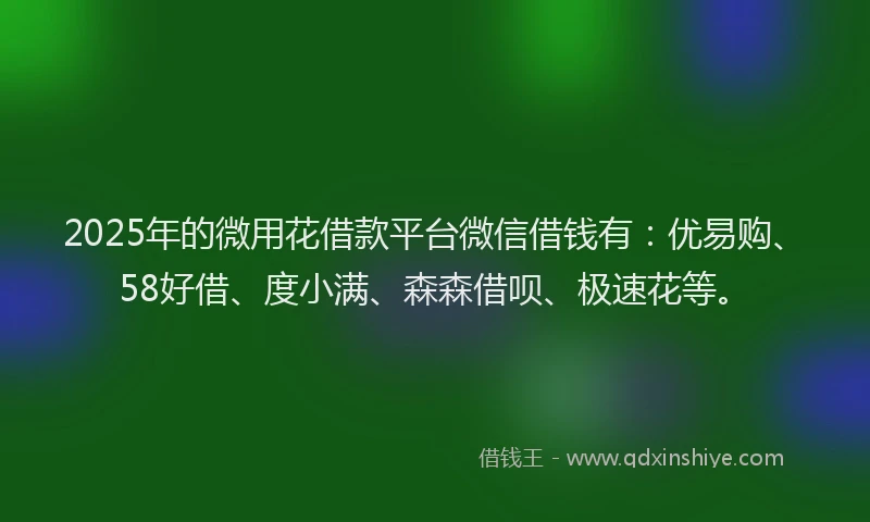 2025年的微用花借款平台微信借钱有：优易购、58好借、度小满、森森借呗、极速花等。