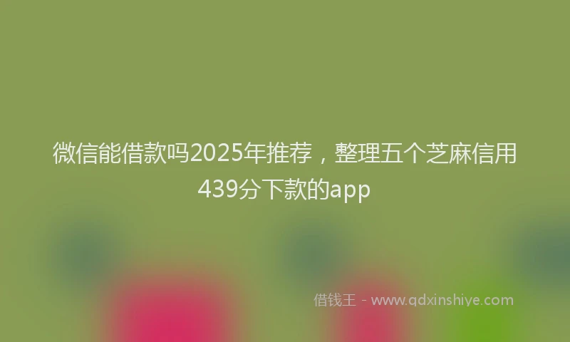 微信能借款吗2025年推荐，整理五个芝麻信用439分下款的app