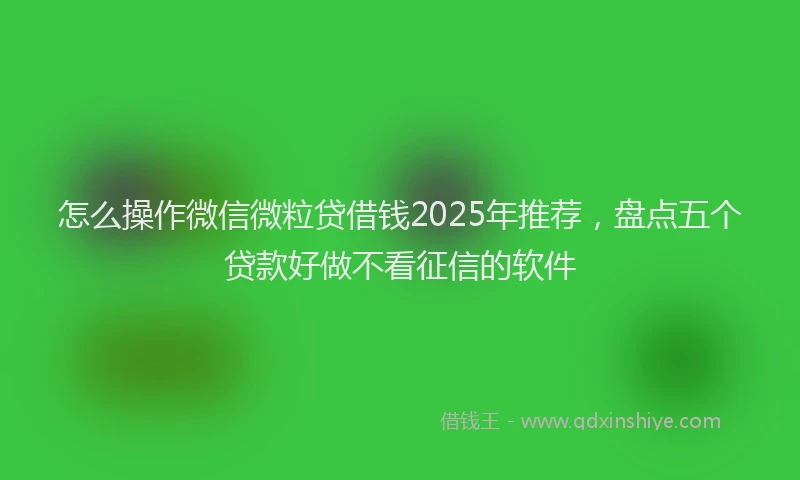 怎么操作微信微粒贷借钱2025年推荐，盘点五个贷款好做不看征信的软件