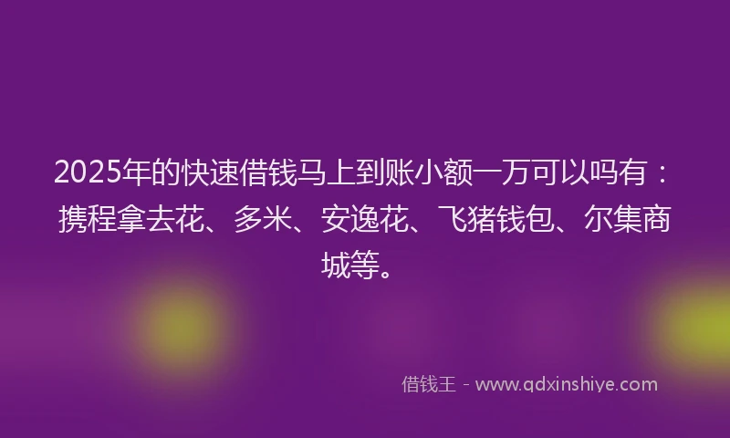 2025年的快速借钱马上到账小额一万可以吗有：携程拿去花、多米、安逸花、飞猪钱包、尔集商城等。