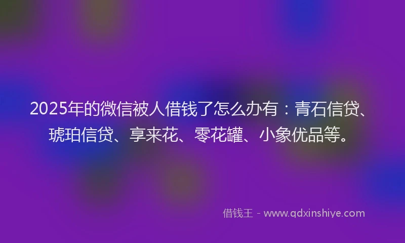 2025年的微信被人借钱了怎么办有：青石信贷、琥珀信贷、享来花、零花罐、小象优品等。