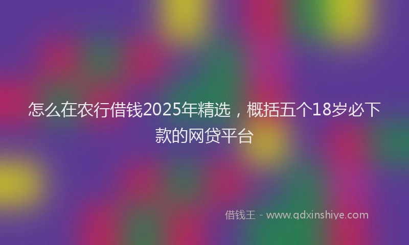 怎么在农行借钱2025年精选，概括五个18岁必下款的网贷平台
