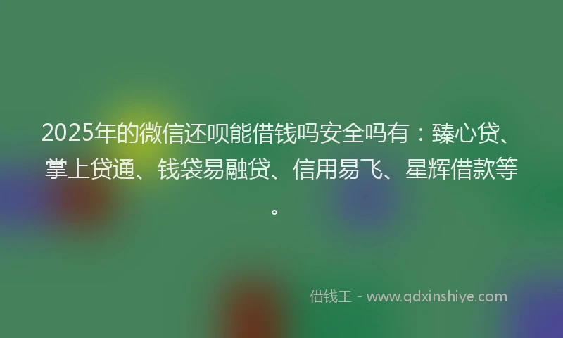 2025年的微信还呗能借钱吗安全吗有：臻心贷、掌上贷通、钱袋易融贷、信用易飞、星辉借款等。