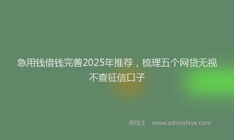 急用钱借钱完善2025年推荐，梳理五个网贷无视不查征信口子