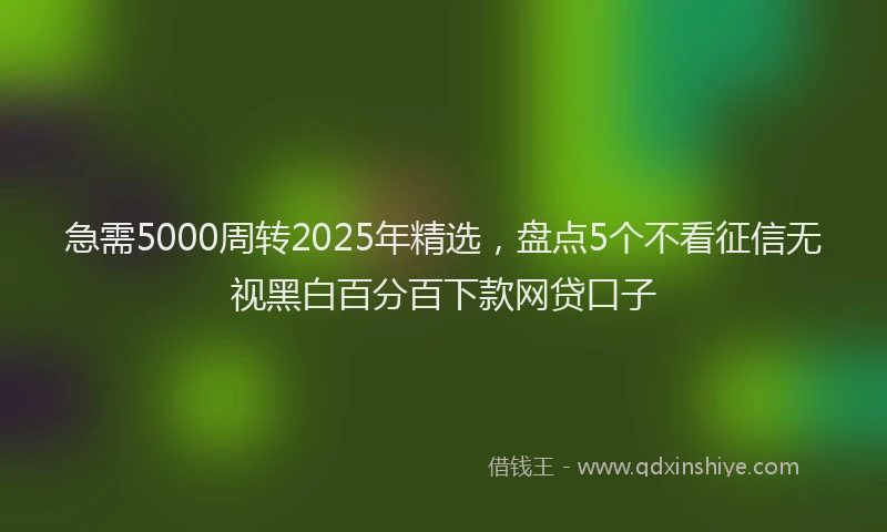 急需5000周转2025年精选，盘点5个不看征信无视黑白百分百下款网贷口子