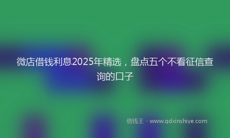 微店借钱利息2025年精选，盘点五个不看征信查询的口子