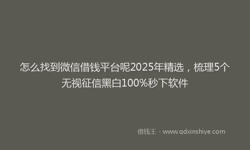 怎么找到微信借钱平台呢2025年精选，梳理5个无视征信黑白100%秒下软件