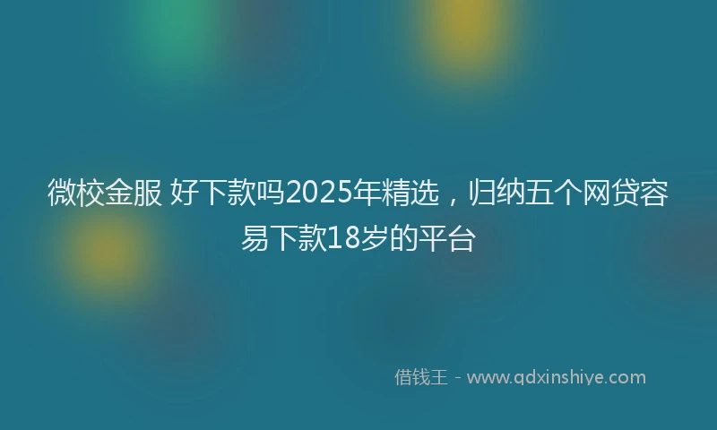 微校金服 好下款吗2025年精选，归纳五个网贷容易下款18岁的平台
