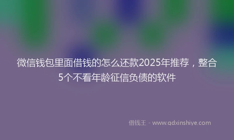 微信钱包里面借钱的怎么还款2025年推荐，整合5个不看年龄征信负债的软件