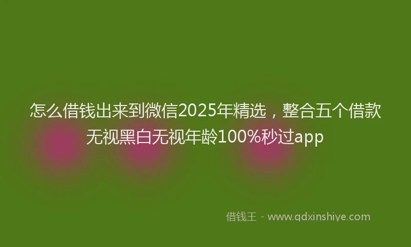怎么借钱出来到微信2025年精选，整合五个借款无视黑白无视年龄100%秒过app