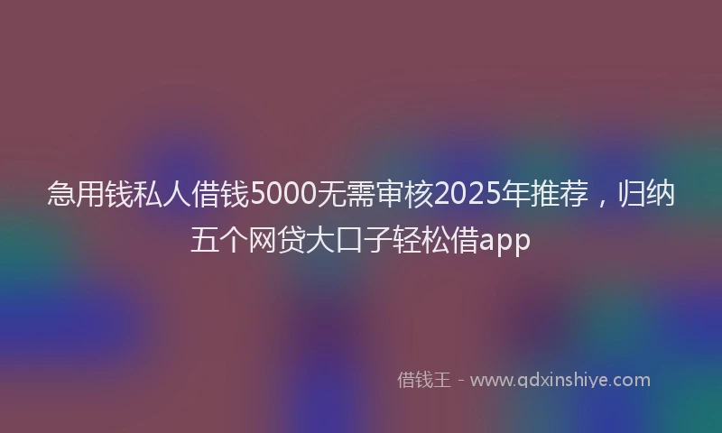 急用钱私人借钱5000无需审核2025年推荐，归纳五个网贷大口子轻松借app