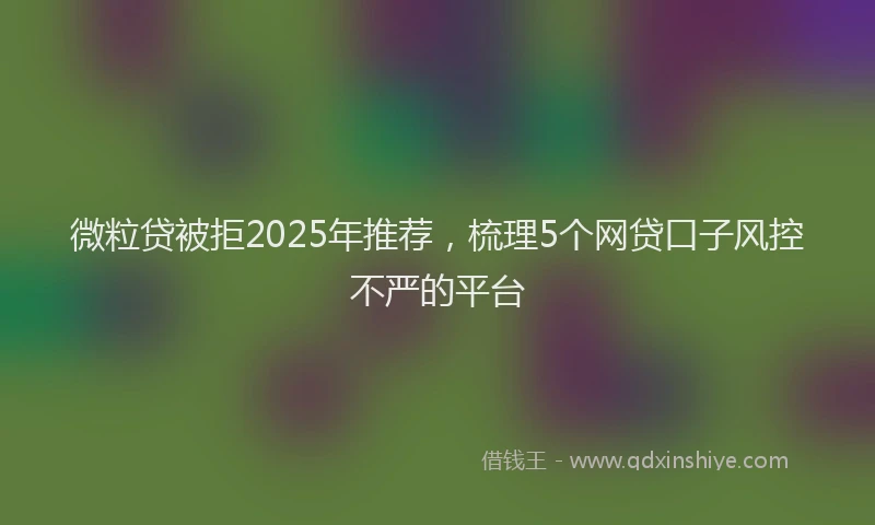 微粒贷被拒2025年推荐，梳理5个网贷口子风控不严的平台