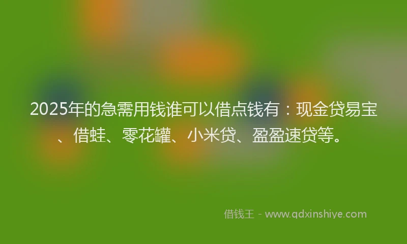 2025年的急需用钱谁可以借点钱有：现金贷易宝、借蛙、零花罐、小米贷、盈盈速贷等。