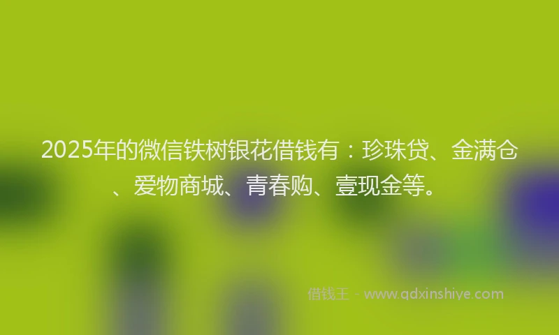 2025年的微信铁树银花借钱有：珍珠贷、金满仓、爱物商城、青春购、壹现金等。