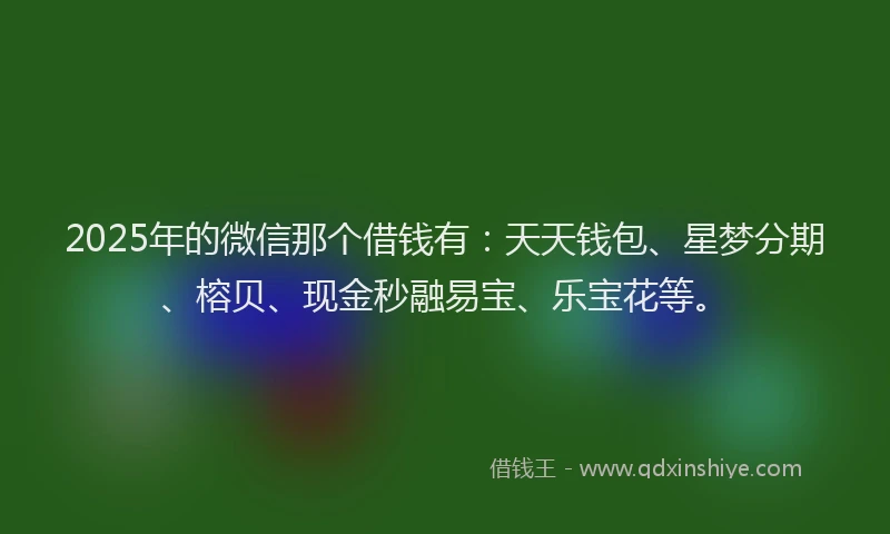 2025年的微信那个借钱有：天天钱包、星梦分期、榕贝、现金秒融易宝、乐宝花等。