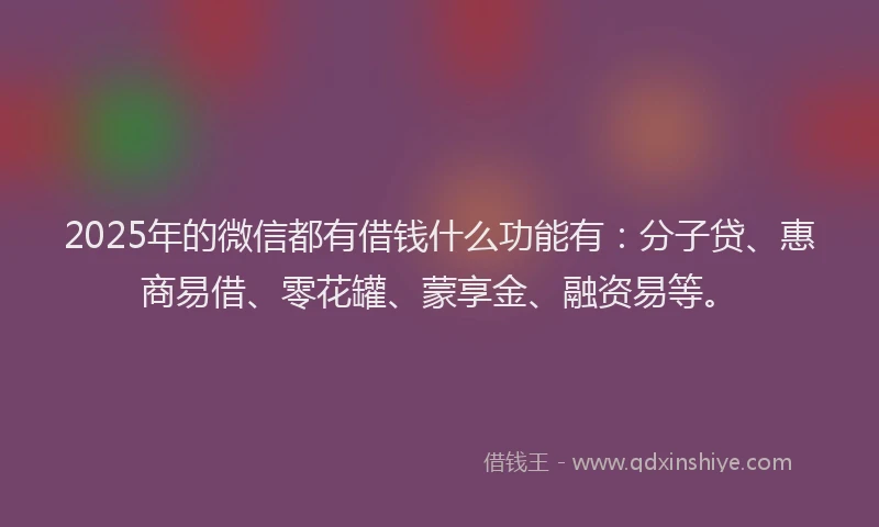 2025年的微信都有借钱什么功能有：分子贷、惠商易借、零花罐、蒙享金、融资易等。