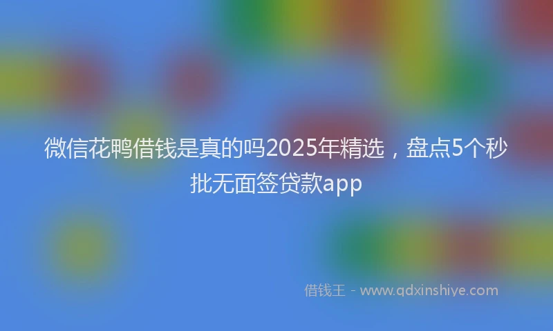 微信花鸭借钱是真的吗2025年精选，盘点5个秒批无面签贷款app