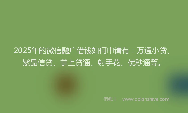 2025年的微信融广借钱如何申请有：万通小贷、紫晶信贷、掌上贷通、射手花、优秒通等。