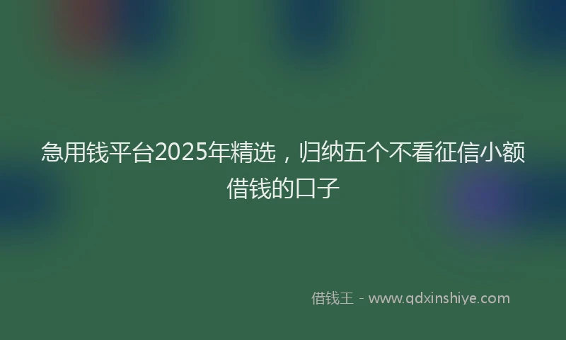 急用钱平台2025年精选，归纳五个不看征信小额借钱的口子
