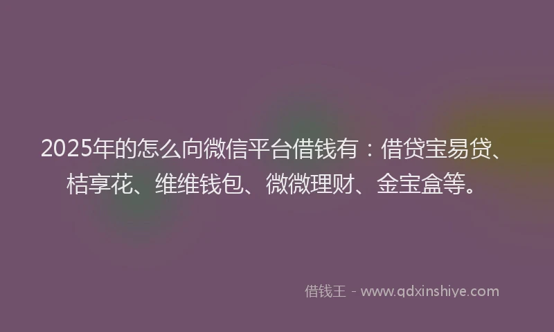 2025年的怎么向微信平台借钱有：借贷宝易贷、桔享花、维维钱包、微微理财、金宝盒等。