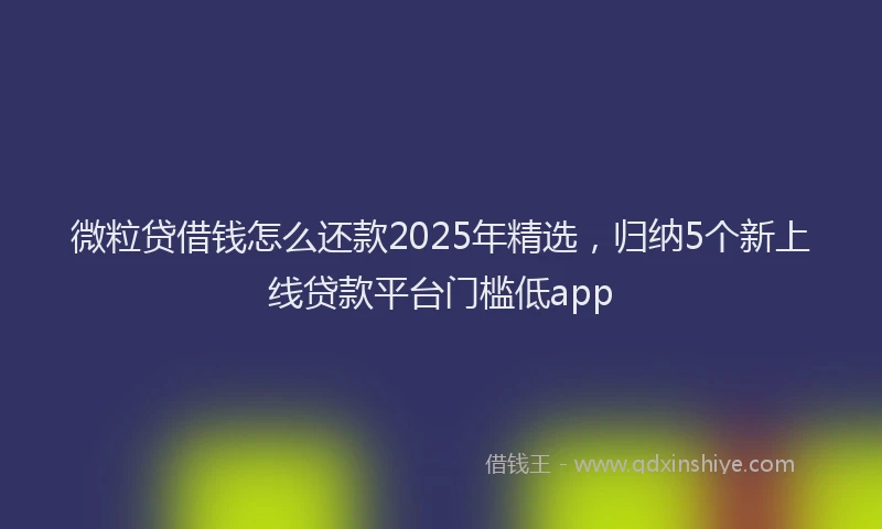 微粒贷借钱怎么还款2025年精选，归纳5个新上线贷款平台门槛低app