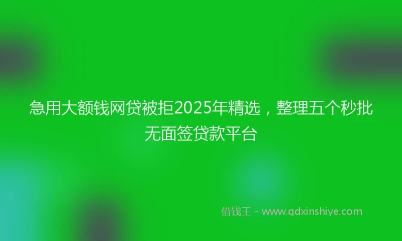 急用大额钱网贷被拒2025年精选，整理五个秒批无面签贷款平台