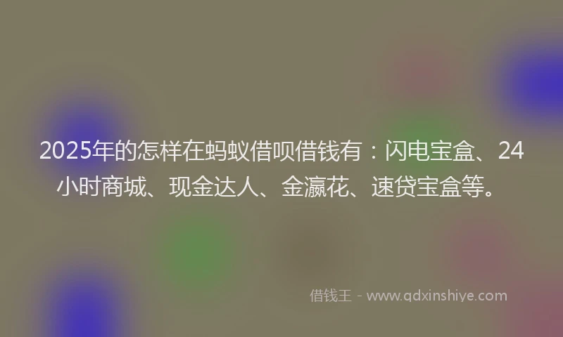 2025年的怎样在蚂蚁借呗借钱有：闪电宝盒、24小时商城、现金达人、金瀛花、速贷宝盒等。