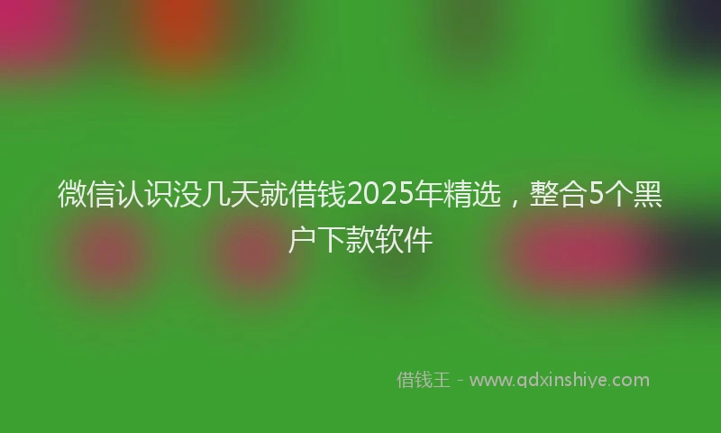 微信认识没几天就借钱2025年精选，整合5个黑户下款软件