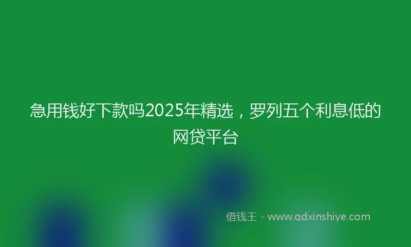 急用钱好下款吗2025年精选，罗列五个利息低的网贷平台
