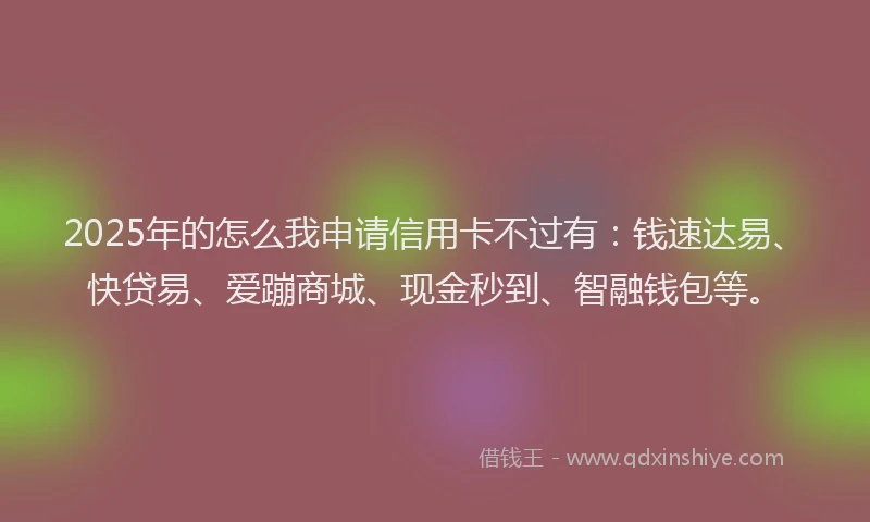 2025年的怎么我申请信用卡不过有：钱速达易、快贷易、爱蹦商城、现金秒到、智融钱包等。