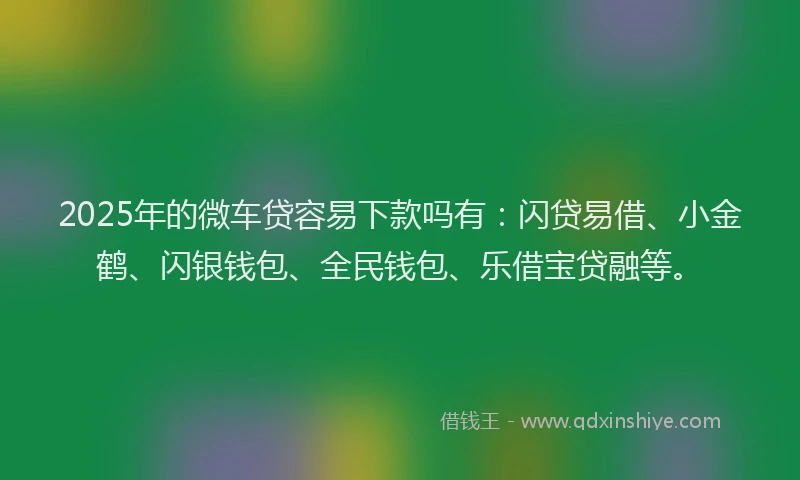 2025年的微车贷容易下款吗有：闪贷易借、小金鹤、闪银钱包、全民钱包、乐借宝贷融等。