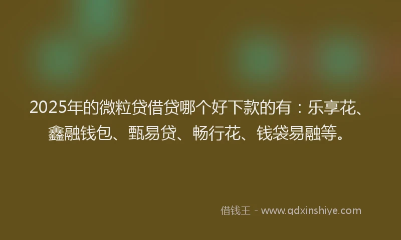 2025年的微粒贷借贷哪个好下款的有：乐享花、鑫融钱包、甄易贷、畅行花、钱袋易融等。