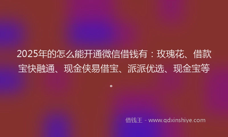 2025年的怎么能开通微信借钱有：玫瑰花、借款宝快融通、现金侠易借宝、派派优选、现金宝等。