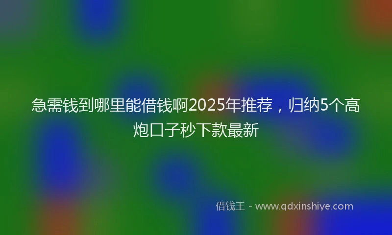 急需钱到哪里能借钱啊2025年推荐，归纳5个高炮口子秒下款最新