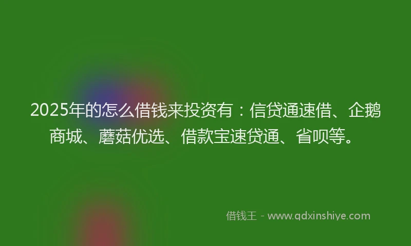 2025年的怎么借钱来投资有：信贷通速借、企鹅商城、蘑菇优选、借款宝速贷通、省呗等。