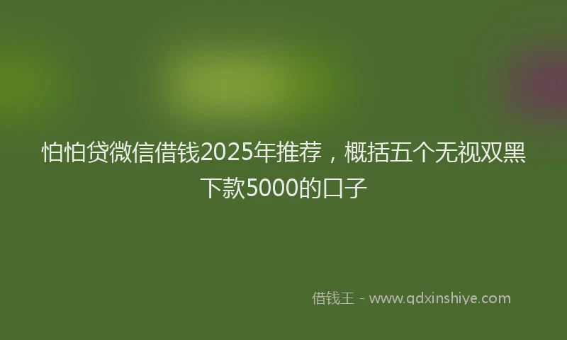 怕怕贷微信借钱2025年推荐，概括五个无视双黑下款5000的口子